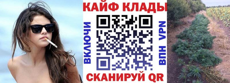 Виды наркотиков купить Вологда Галлюциногенные грибы АМФЕТАМИН APVP Марихуана ГАШИШ COCAIN