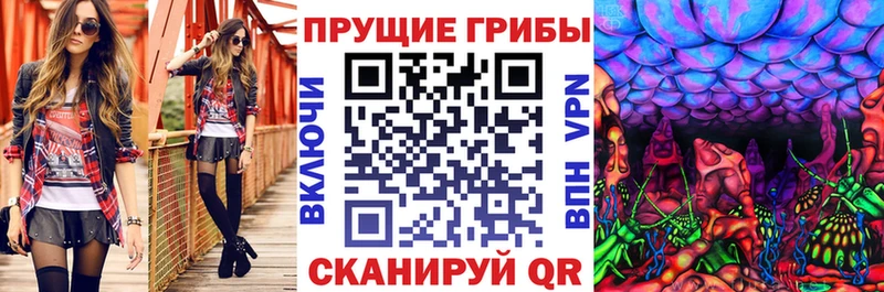 Галлюциногенные грибы Psilocybine cubensis Вологда